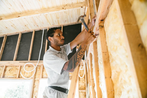 Best Insulation Contractor Near Me  in Bishop, TX